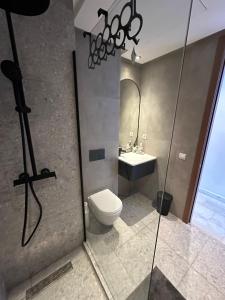 a bathroom with a toilet and a sink at Studio Ferme Bretonne, Bien Desservi & Salle Gym in LʼOasis