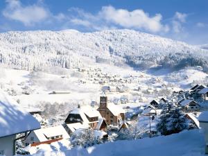 Wohnung mit Balkon im Schwarzwald v zimě + 1 fotografie