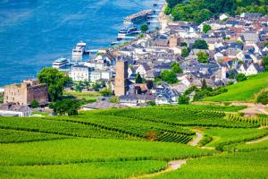 a town on a hill next to the ocean with vineyards at LaBed - Wohnen direkt an der Drosselgasse, stilvolle Ferienwohnung mit Rheinblick in Rüdesheim am Rhein