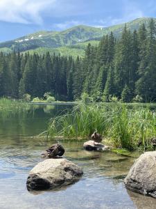 Paesaggio naturale nelle vicinanze dell'hotel