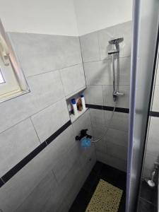 Un baño con ducha y cabezal de ducha en Vila Eriona, en Baks-Rrjoll