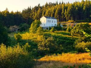 a house in the middle of a field with trees at Casa Natura Galicia in Santa María La Mayor del Rosario