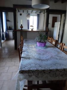 a dining room table with a potted plant on it at Gîte de La Ronce in Dhuizon +2 photos