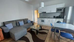 a living room with a couch and a table at Lizi apartman in Debrecen