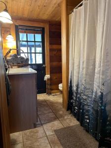 ein Badezimmer mit Dusche, Waschbecken und Toilette in der Unterkunft Luxury Cabin HotTub, Hiking, Fire Pit, Game Room in Ellijay