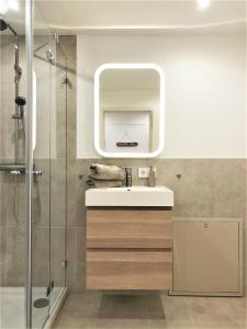 un baño con lavabo y ducha en Lifestyle Apartment, en Schwabach