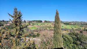 Peisaj natural din apropierea acestui apartament