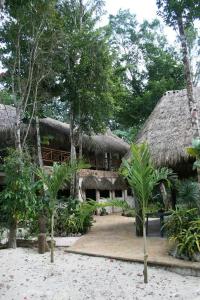 atropical house with a straw roof and some trees at Cabaña Zapote en Rancho Los Jaguares Jungle Retreat Tulum in Tulum