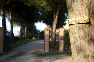 Fotografija u galeriji objekta Agriturismo Ae Cavane u gradu Codevigo