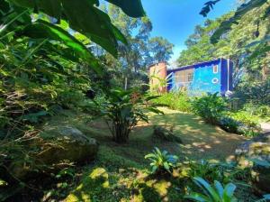 une maison au milieu d'un jardin avec un arbre dans l'établissement Casa em Maresias com vista pro mar, à São Sebastião