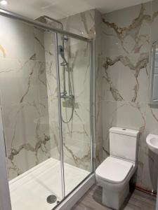 a bathroom with a shower and a toilet and a sink at 4 Town centre, Free off road parking, entire flat in Huntingdon +22 photos