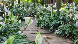Zahrada ubytování The Twin Cottages Coorg