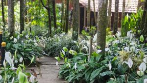 Zahrada ubytování The Twin Cottages Coorg