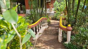 Zahrada ubytování The Twin Cottages Coorg