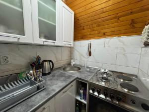 a kitchen with a sink and a stove top oven at Vila Presjenica in Bunovci +11 photos