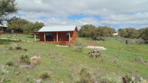 a small wooden cabin in a field with trees at Texas T Bed and Breakfast in Llano