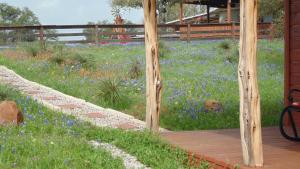 Zahrada ubytování Texas T Bed and Breakfast