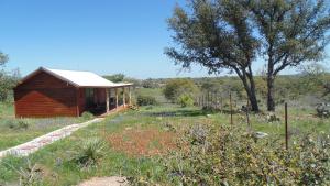 Zahrada ubytování Texas T Bed and Breakfast + 9 fotografií