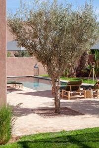 SraghnaにあるVilla à Marrakech 8 Personnes, Piscine et Petits-Déjeuners Inclusのスイミングプール前の木