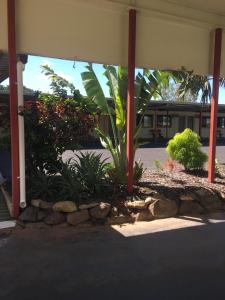 a patio area with a stone wall and a tree at Black Nugget Hotel Motel in Moranbah