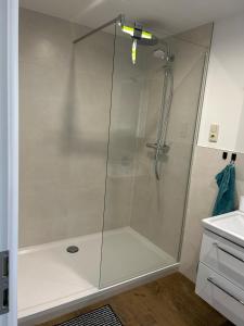 una ducha con puerta de cristal en un baño en Storchennest, en Raduhn