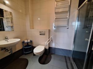 a bathroom with a toilet and a sink and a shower at Willa Maczek in Sztutowo