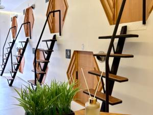 a group of wooden stairs in a room with a plant at Hive Capsule Hostel in Tagbilaran City