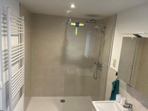 a bathroom with a shower and a sink at Storchennest in Raduhn