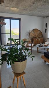 Area soggiorno di Serene Escape in Porto Madeira