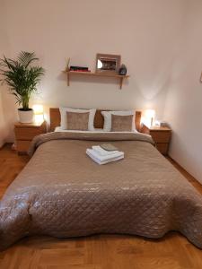 a bedroom with a bed with two lamps and a plant at B-4 Kraków Stary Kazimierz O&P ApartFamily in Kraków