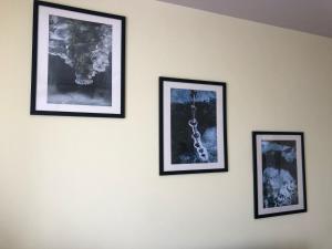 Foto sihtkohas Paraćin asuva majutusasutuse ANNI apartman galeriist