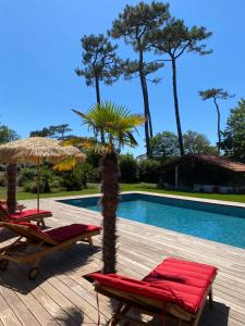 a swimming pool with two lawn chairs and two umbrellas at Villa Valhalla - 400m from beach, sauna and big heated pool in Labenne