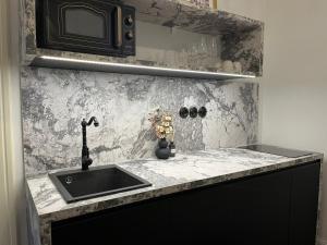 eine Küchentheke mit Spüle und Mikrowelle in der Unterkunft Residence Polonia - LAST available dates in Karlsbad