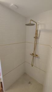 eine Duschkabine mit Duschkopf in einem Zimmer in der Unterkunft La tanière des trois Ogres, à 10min du Futuroscope in Beaumont + 11 Fotos