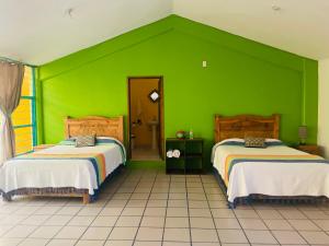 a green room with two beds in it at San Cristóbal Bleisure Hotel Centro in San Cristóbal de Las Casas