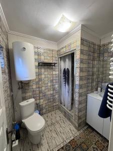 a bathroom with a toilet and a tiled wall at House Beskyd in Skole +16 photos