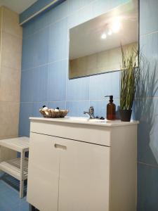 a bathroom with a sink and a mirror at Douro Valley View Apartments in Armamar