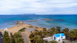 een luchtzicht op een strand met palmbomen en de oceaan bij Dream Villa in Kokkíni Khánion