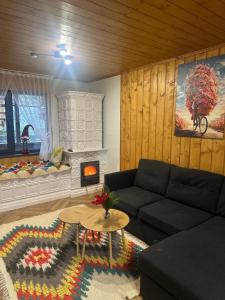 a living room with a couch and a fireplace at Power Place in Mizhhirya