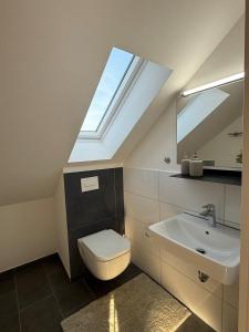 a bathroom with a toilet and a sink and a skylight at Landhaus am Damme in Garbsen