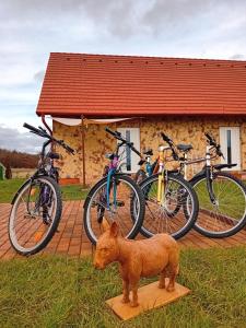 Jazda na bicykli v okolí ubytovania Fa Szamár Vendégház