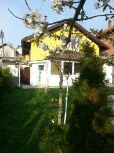 Κήπος έξω από το Alma's Sweet Home