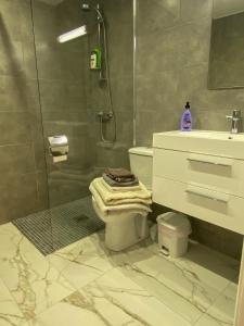 a bathroom with a shower and a toilet and a sink at Panorama Apartment 4 in Chlorakas
