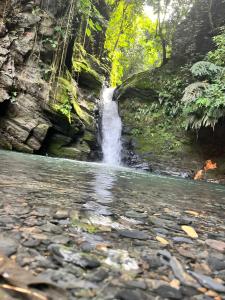 Fotografie z fotogalerie ubytování Finca turística el paraíso es aqui v destinaci Vergara