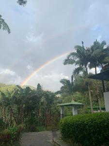 Fotografie z fotogalerie ubytování Finca turística el paraíso es aqui v destinaci Vergara
