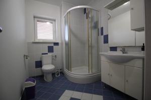 a bathroom with a toilet and a shower and a sink at Dolce Mare Apartmani in Pakoštane +21 photos