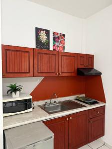a kitchen with a sink and a microwave at Suites Galván centro Colima, alberca, Wifi, parking in Colima