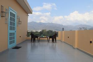 Φωτογραφία από το άλμπουμ του Little Sparrow Home Stay σε Rishīkesh +15 φωτογραφίες