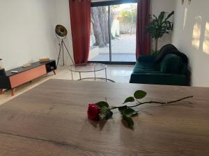 a rose sitting on top of a bed in a room at Le petit Mas in Nîmes