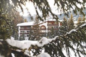 冬天的Hotel Waldhuus